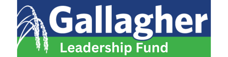 Gallagher Leadership Fund for Republican Central Committee 2028